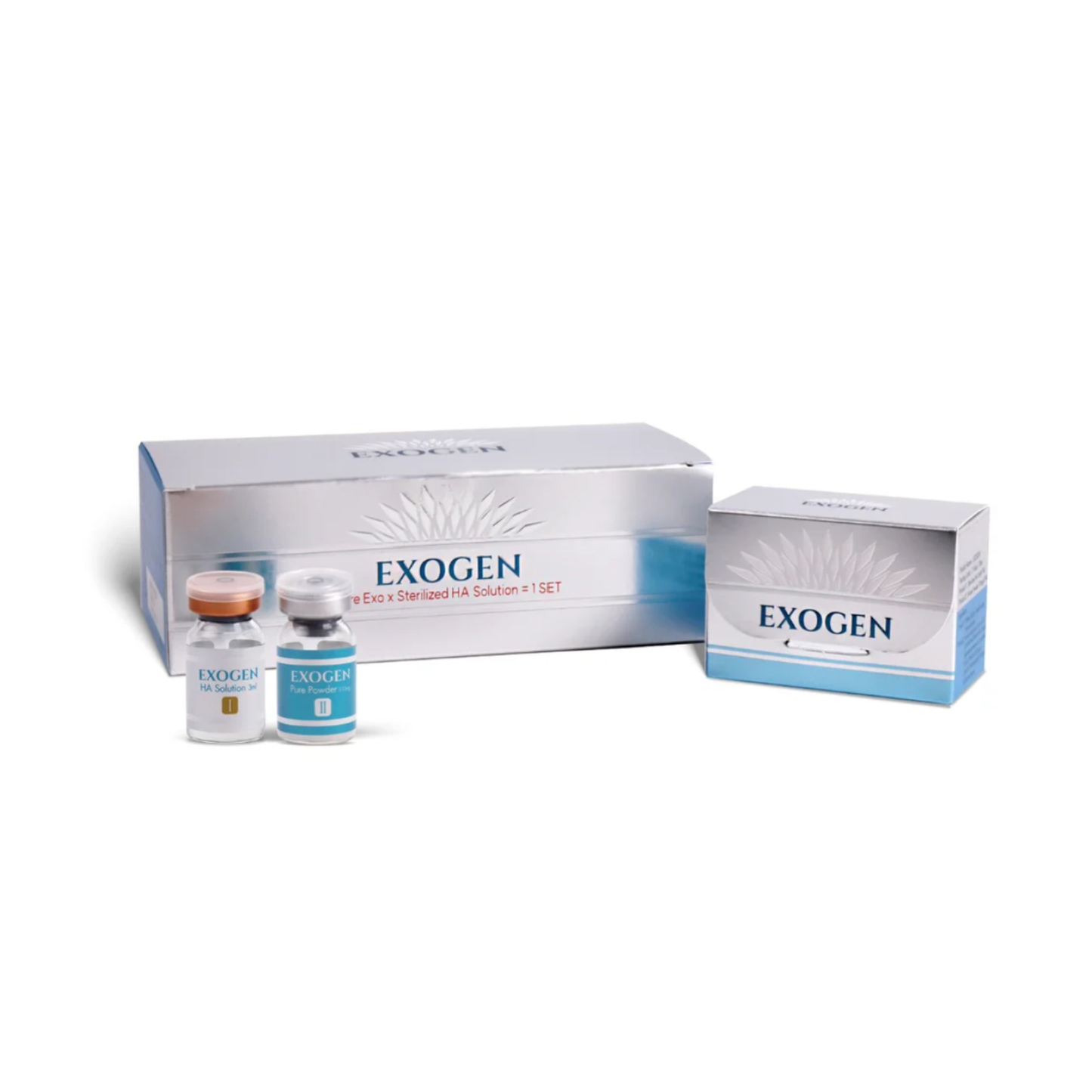 EXOGEN (4SET)