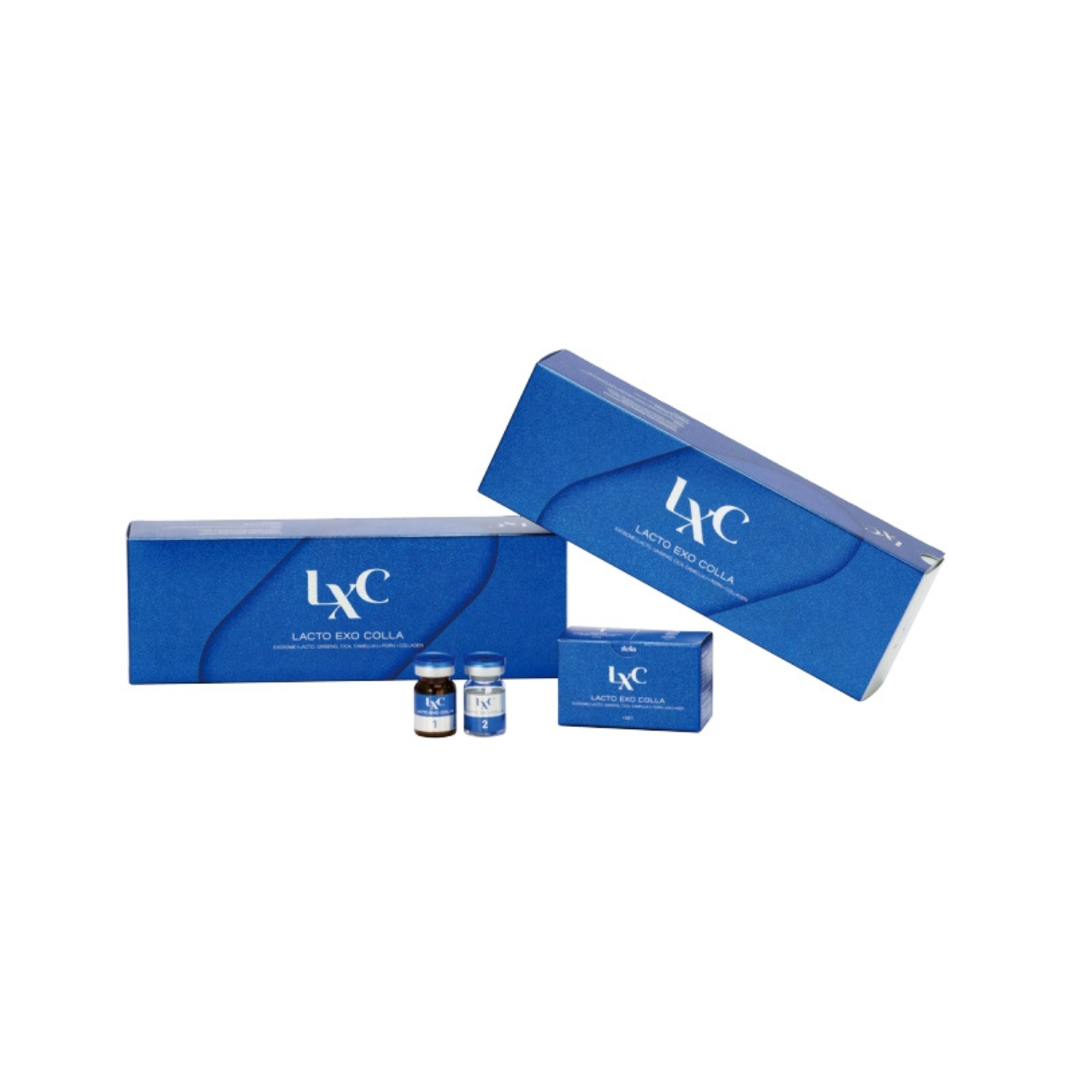 LACTO EXO COLLA (LXC) (5SET)